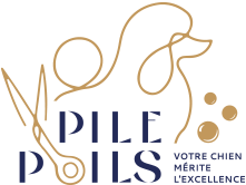 Mobile Logo